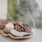 Casita Auxilia Bajo